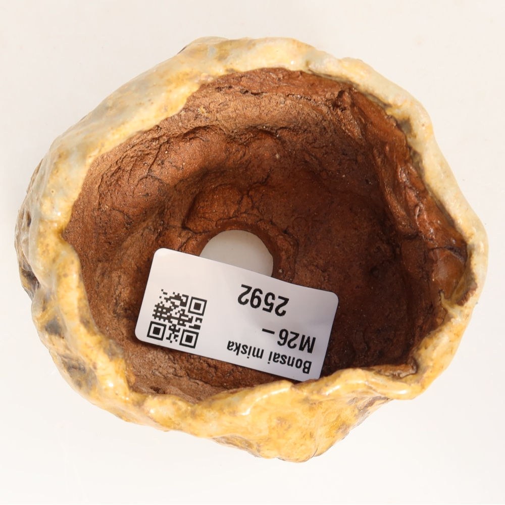 Keramisch Schelp 7,5 x 7 x 6 cm , kleur bruin