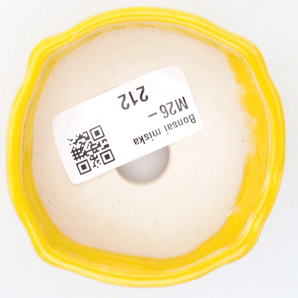 Mini bonsaischaal 6,5 x 6,5 x 2,5 cm, geel