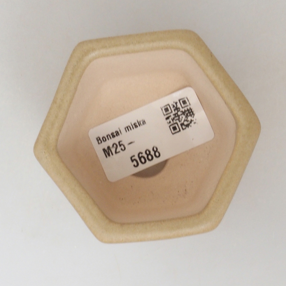 Mini bonsaischaal 6,5 x 6 x 4 cm, bruin