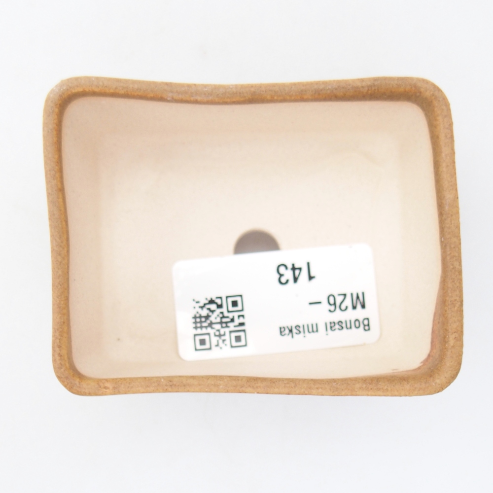 Mini bonsaischaal 7 x 5 x 3,5 cm, bruin