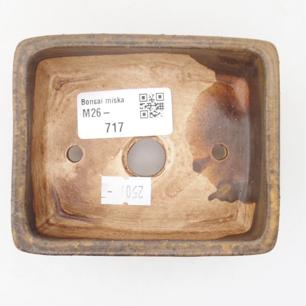 Bonsaischaal van keramiek 10 x 8 x 4 cm, bruin