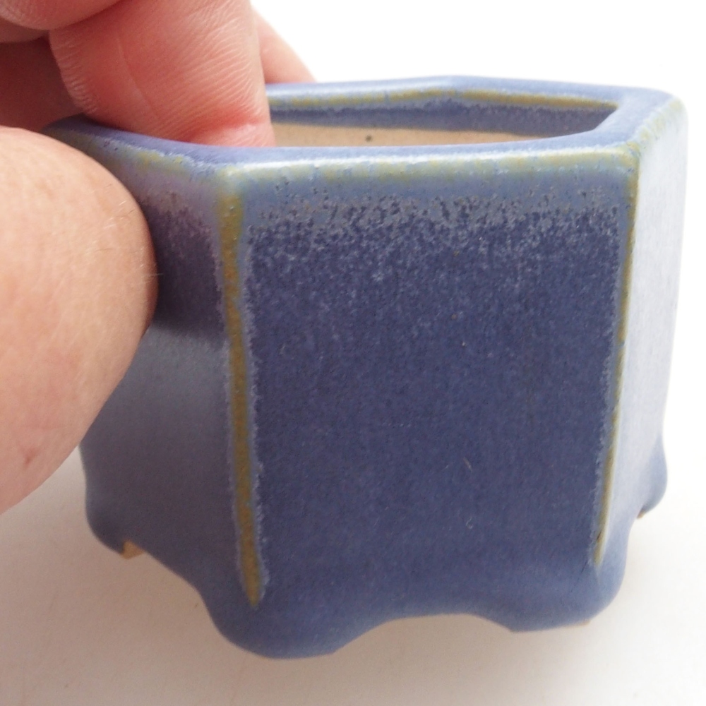 Mini bonsaischaal 6 x 5,5 x 4 cm, kleur blauw