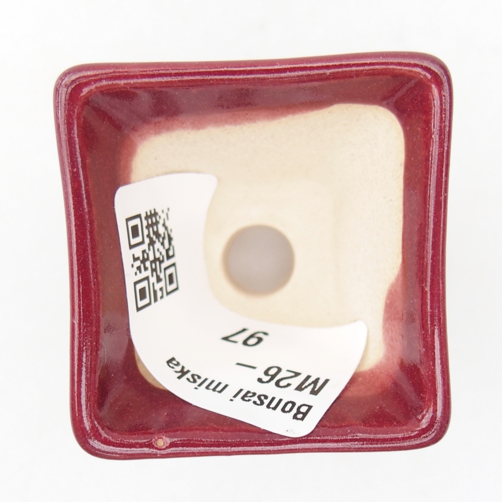 Mini bonsaischaal 4 x 4 x 3,5 cm, bordeauxrood