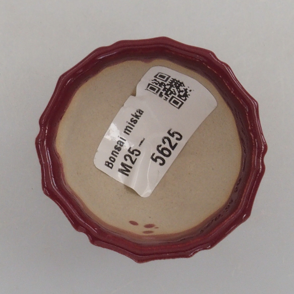 Mini bonsaischaal 5 x 5 x 3 cm, bordeauxrood