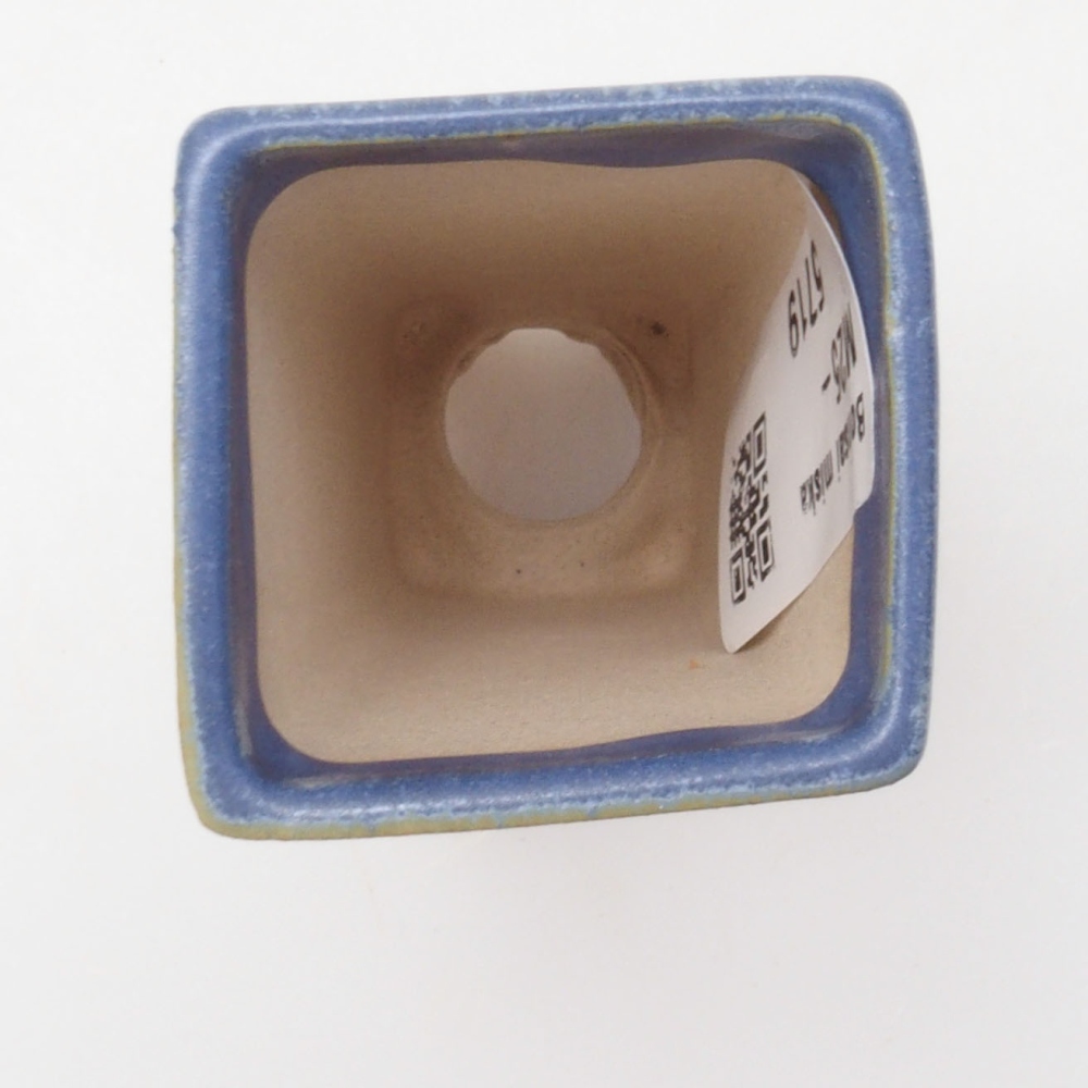 Mini bonsaischaal 4 x 4 x 8,5 cm, kleur blauw