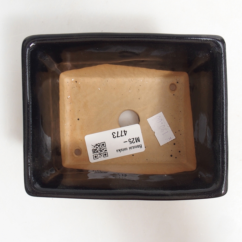 Keramische bonsaipot 11,5 x 10,5 x 6 cm, kleur: zwart