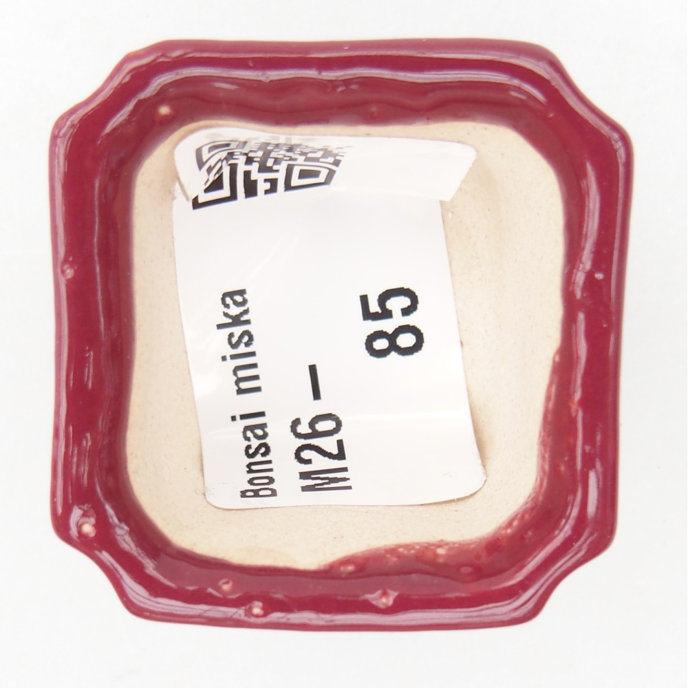 Mini bonsaischaal 3,5 x 3,5 x 2 cm, bordeauxrood