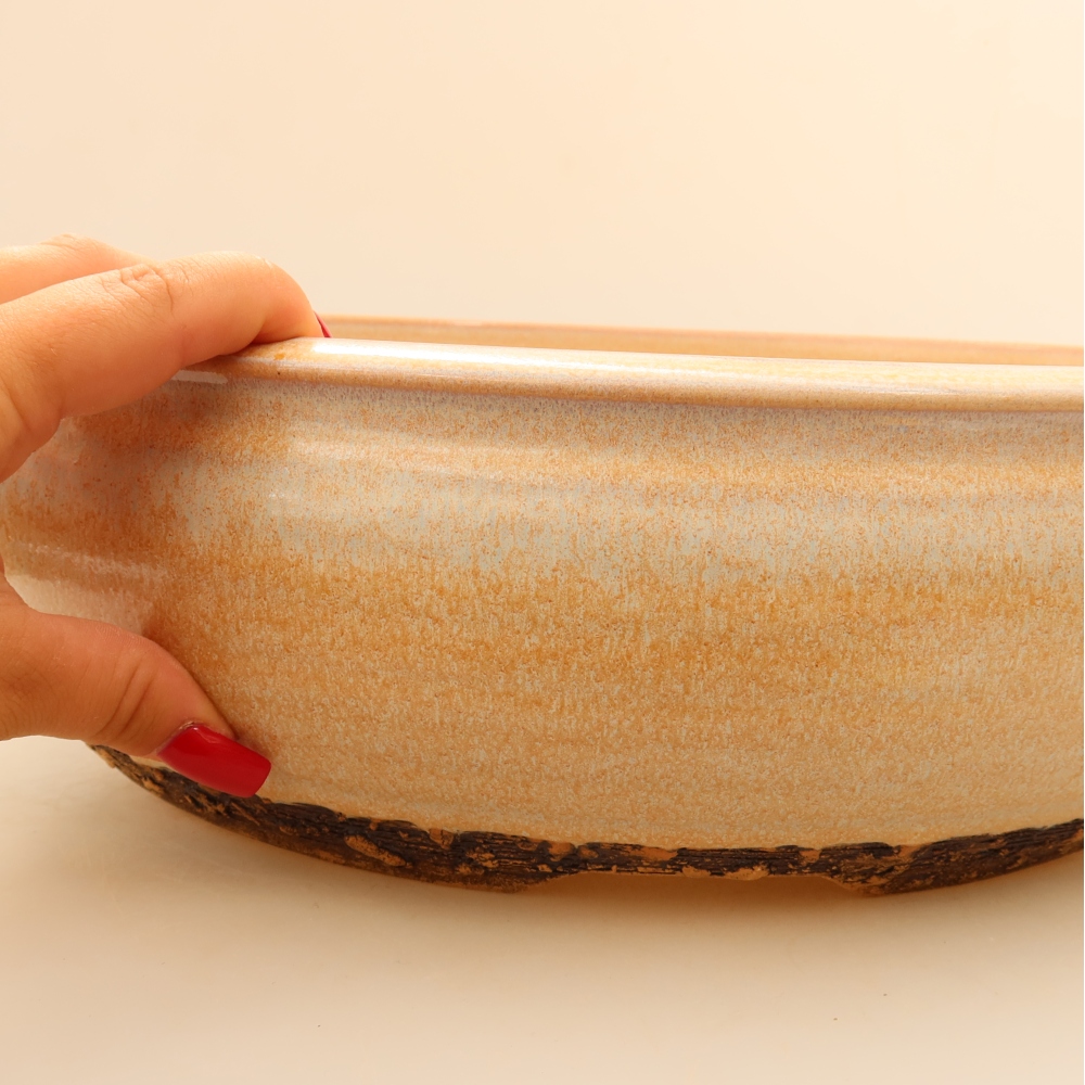 Keramische bonsaischaal 35 x 35 x 11 cm, kleur beige – ALLEEN AFHALEN of transport per pallet