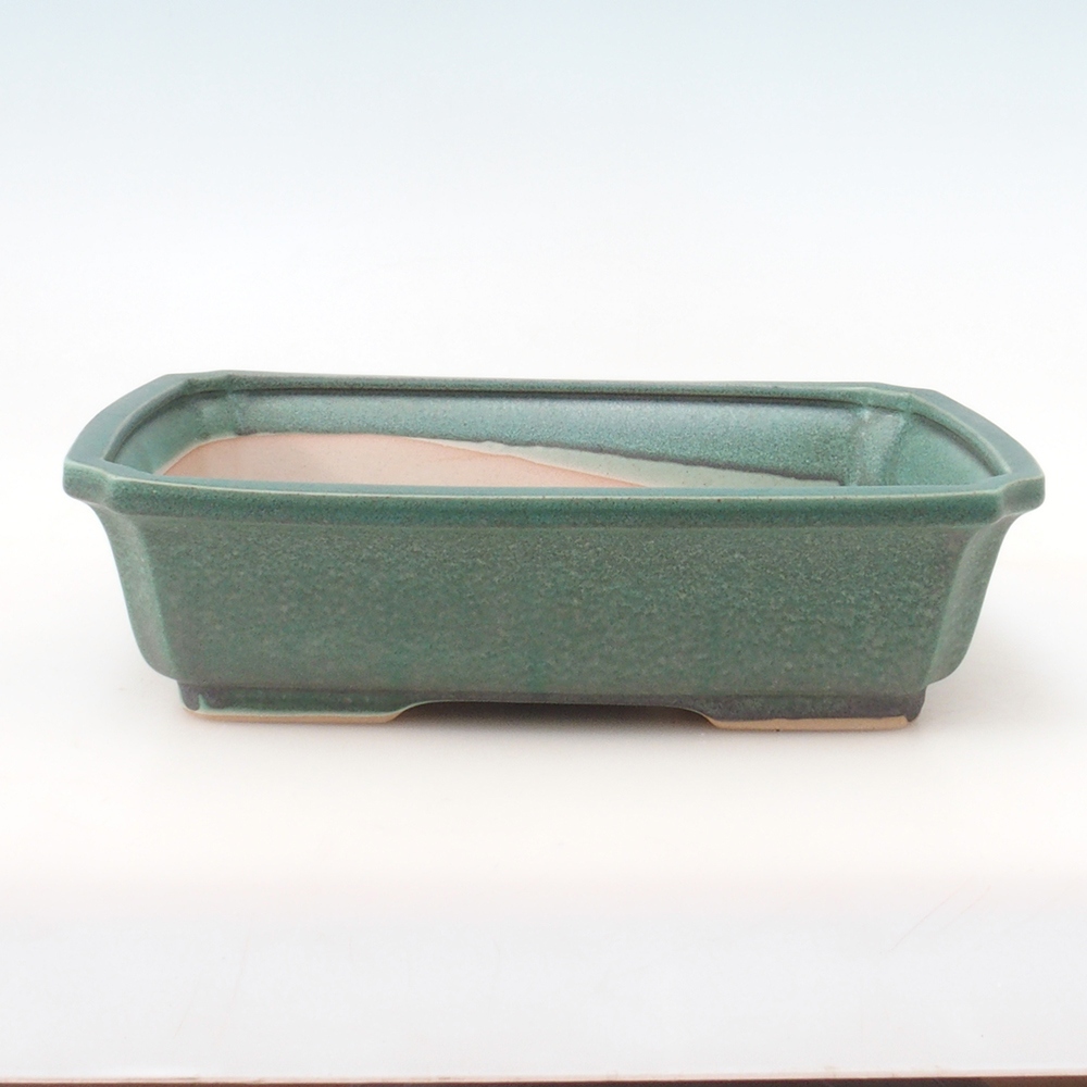 Bonsai kom + schotel H07 - 30 x 20,5 x 8 cm - groen