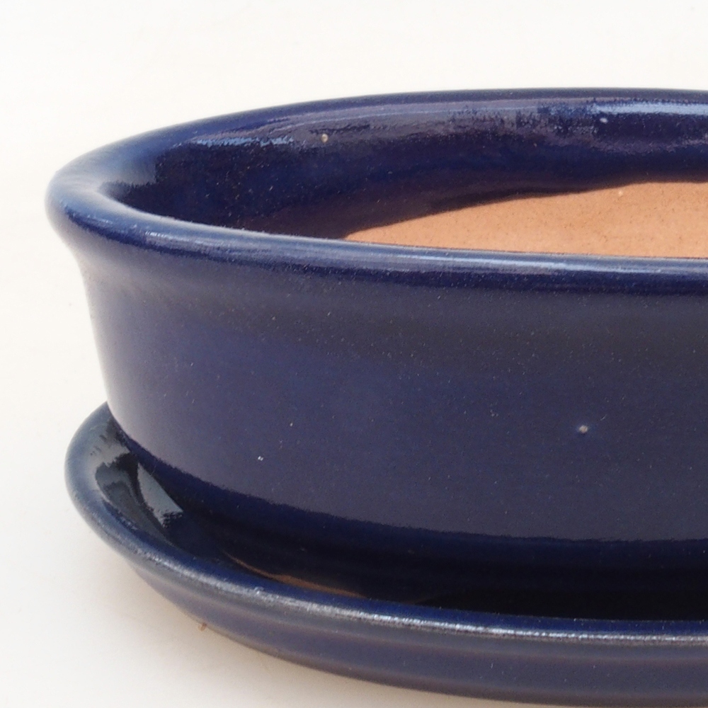 Bonsai kom + schotel H04 - blauw