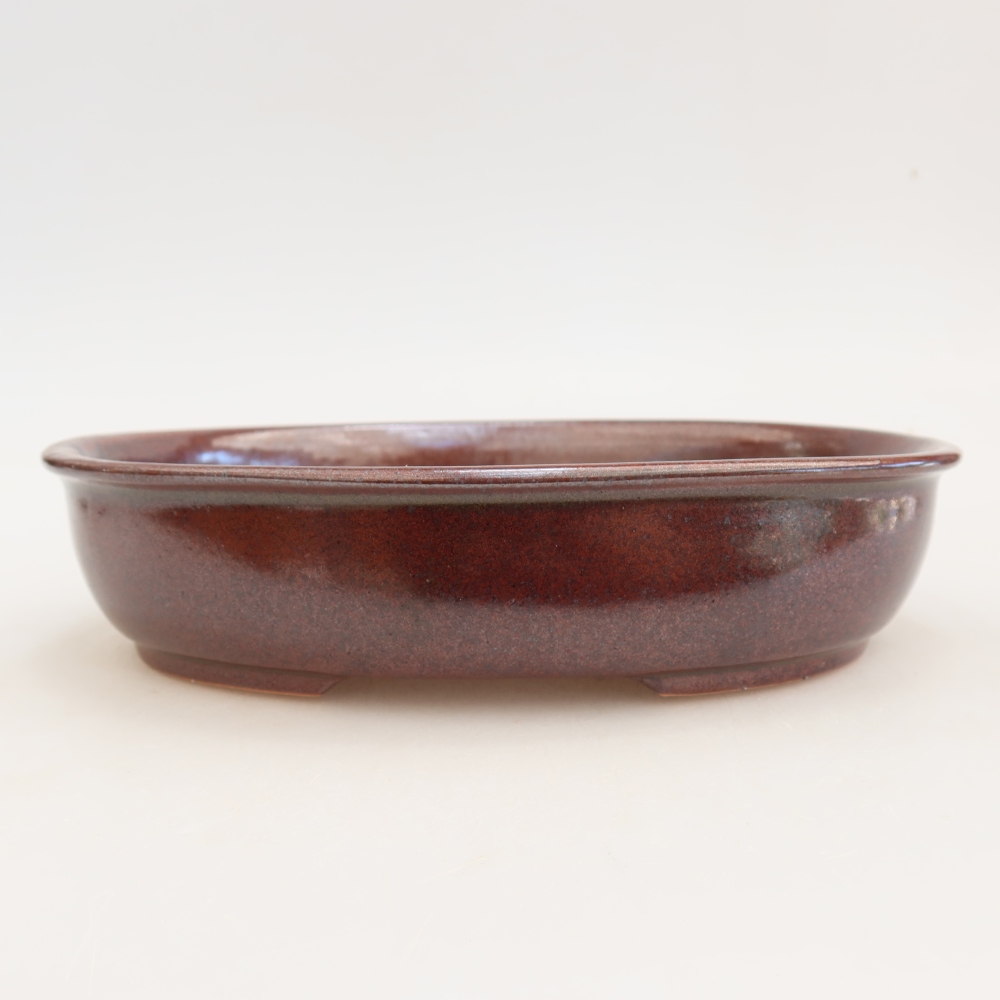 Keramische bonsaipot 22 x 17 x 5 cm, kleur bordeauxrood