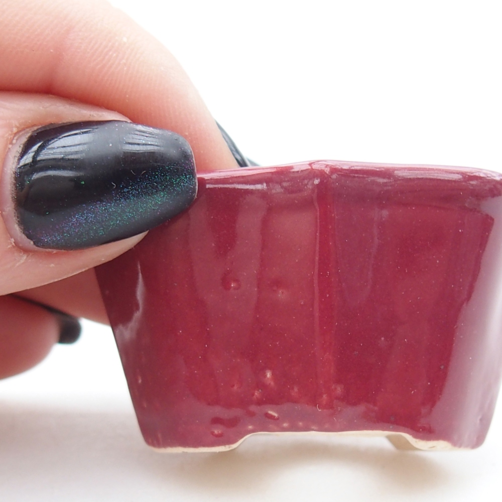Mini bonsaischaal 4,5 x 3 x 2,5 cm, bordeauxrood