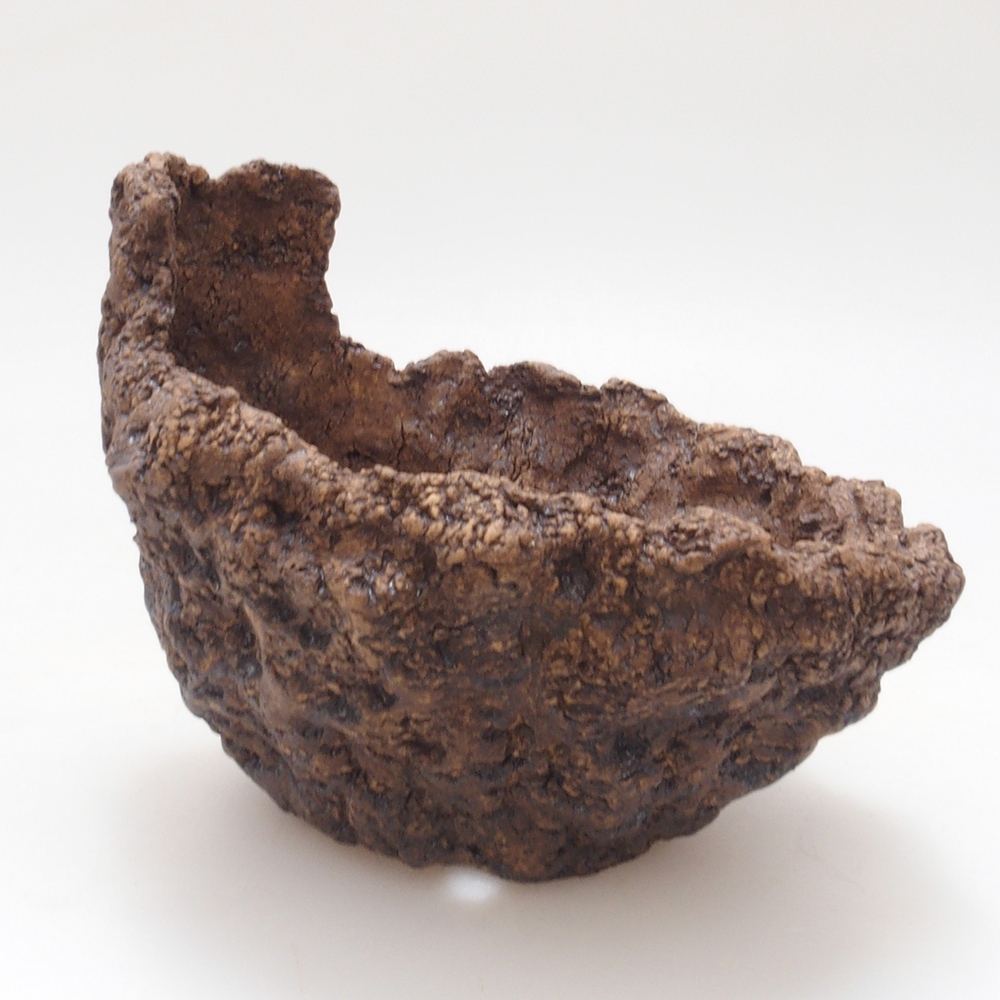 Keramisch Schelp 9 x 8 x 8,5 cm , kleur bruin