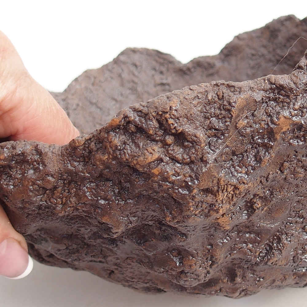 Keramisch Schelp 25 x 21 x 21 cm , kleur bruin