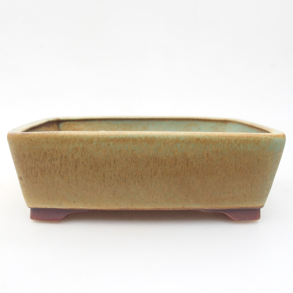 Bonsaischaal van keramiek 15 x 12 x 5 cm, groen