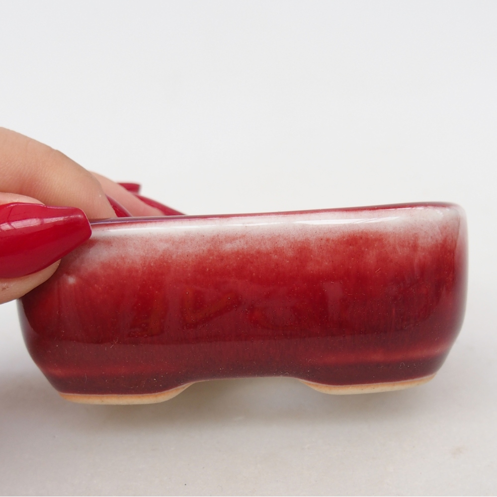 Mini bonsaischaal 8 x 6 x 3 cm, kleur rood