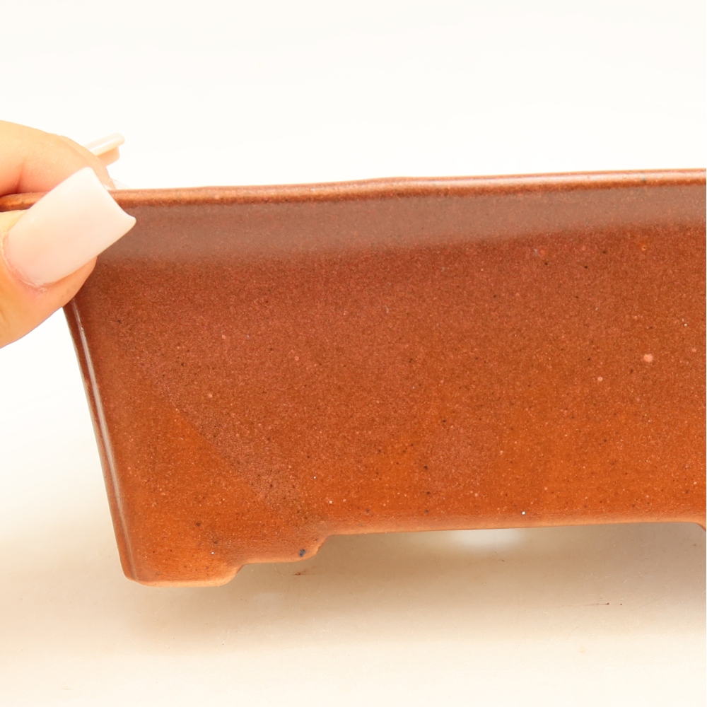 Keramische bonsaipot 18 x 14 x 7 cm, kleur bordeauxrood