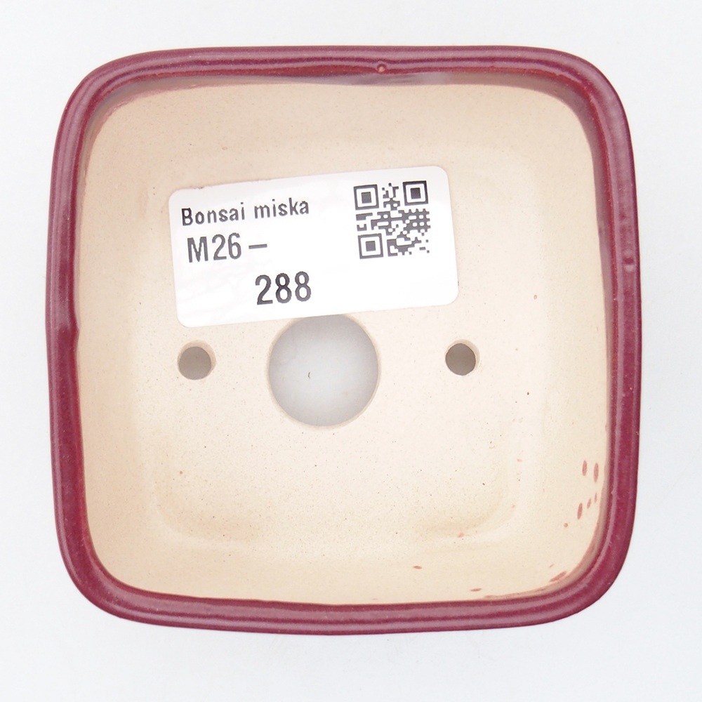Mini bonsaischaal 7 x 7 x 4 cm, bordeauxrood