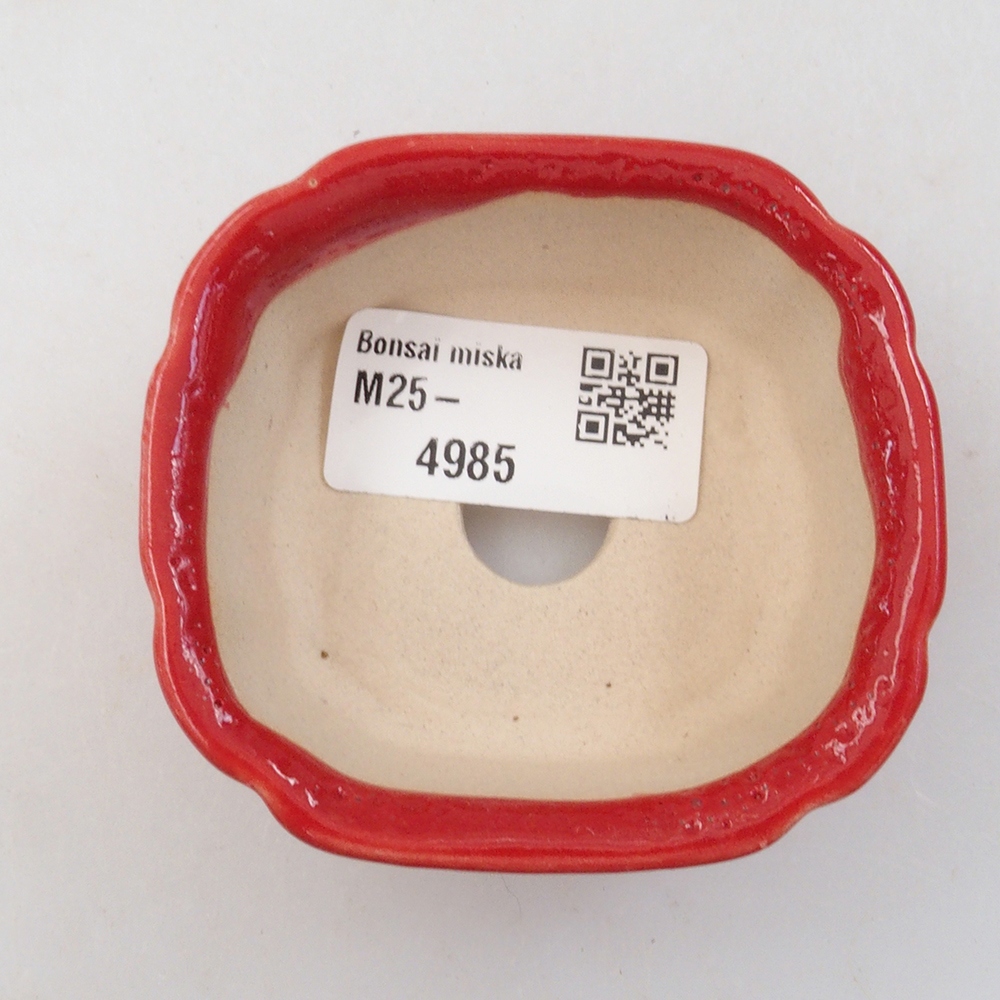 Mini bonsaischaal 7 x 6,5 x 3 cm, kleur rood