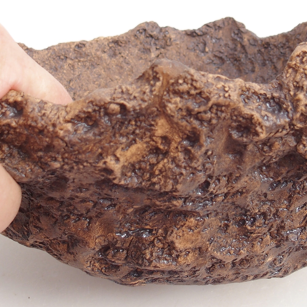 Keramisch Schelp 24 x 20 x 16,5 cm , kleur bruin