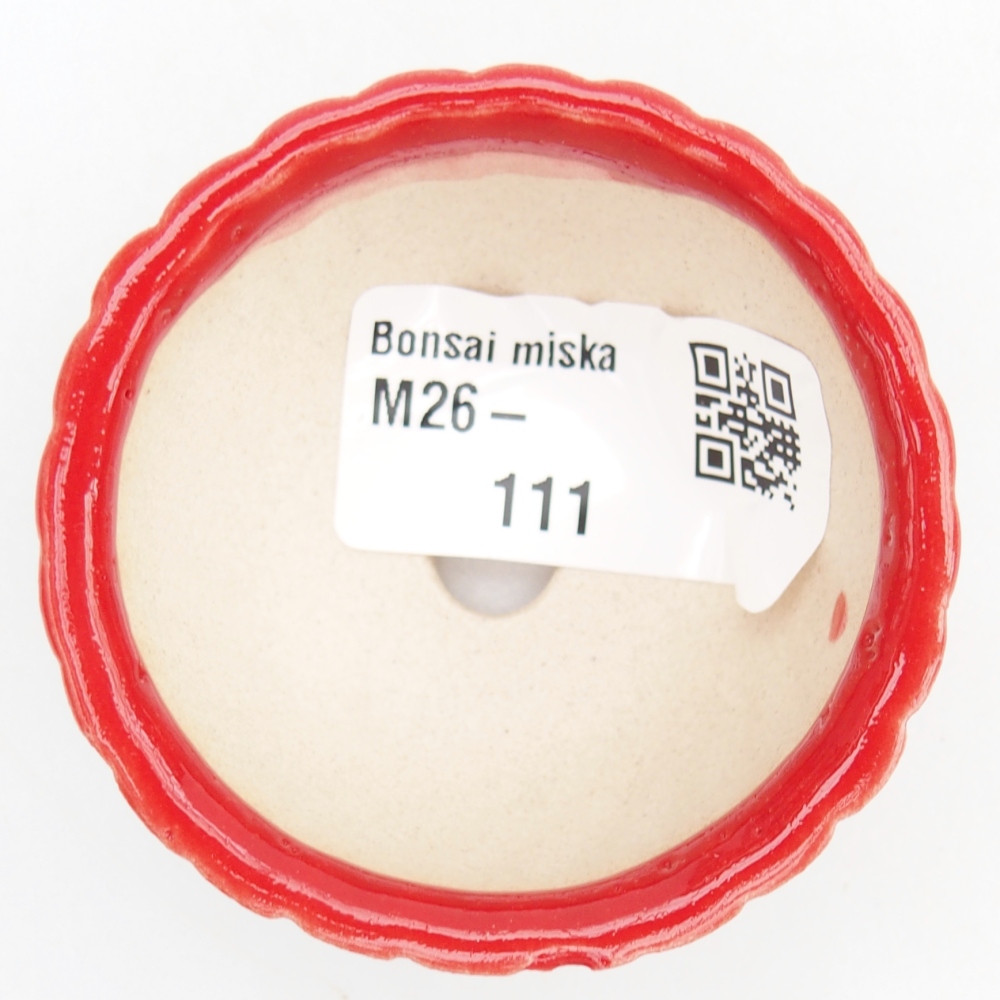 Mini bonsaischaal 5,5 x 5,5 x 2,5 cm, kleur rood