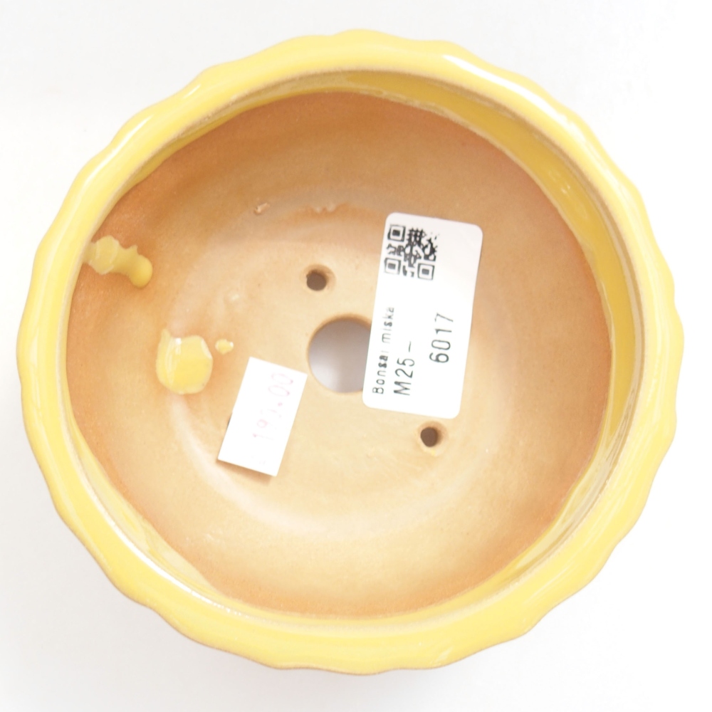 Bonsaischaal van keramiek 22 x 17 x 5 cm, groen