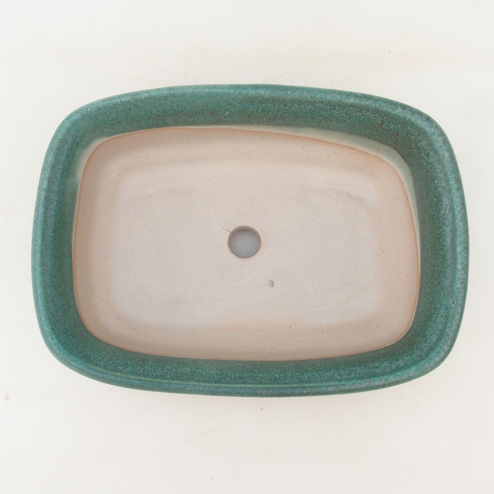 Bonsaischaal H02 - 19 x 13 x 5 cm - groen