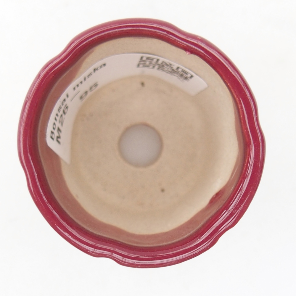 Mini bonsaischaal 4 x 4 x 4,5 cm, bordeauxrood