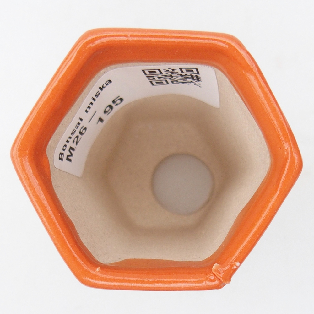 Mini bonsaischaal 5 x 4,5 x 6,5 cm, oranje