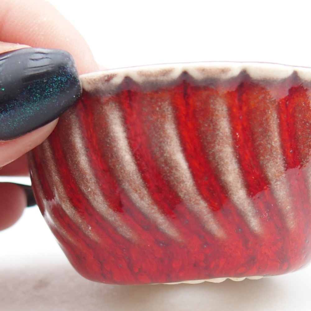 Mini bonsaischaal 5,5 x 5,5 x 2,5 cm, kleur rood