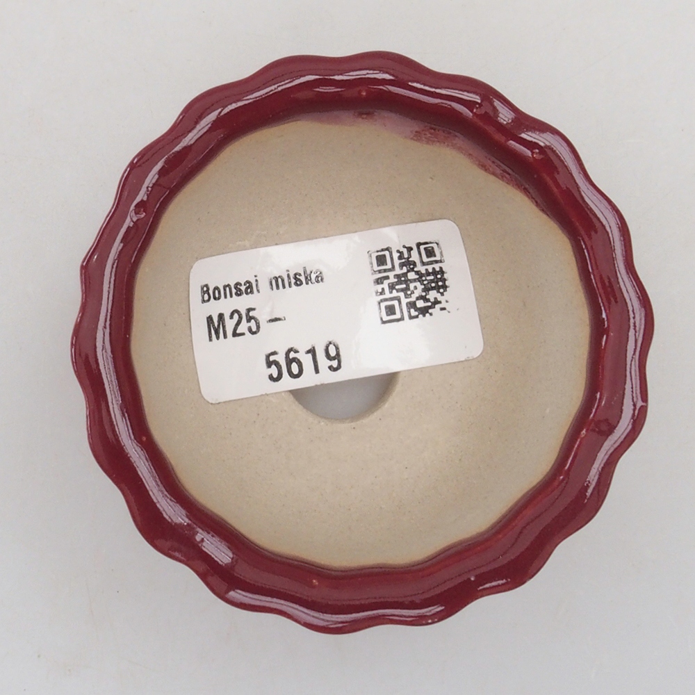 Mini bonsaischaal 6,5 x 6,5 x 3,5 cm, bordeauxrood