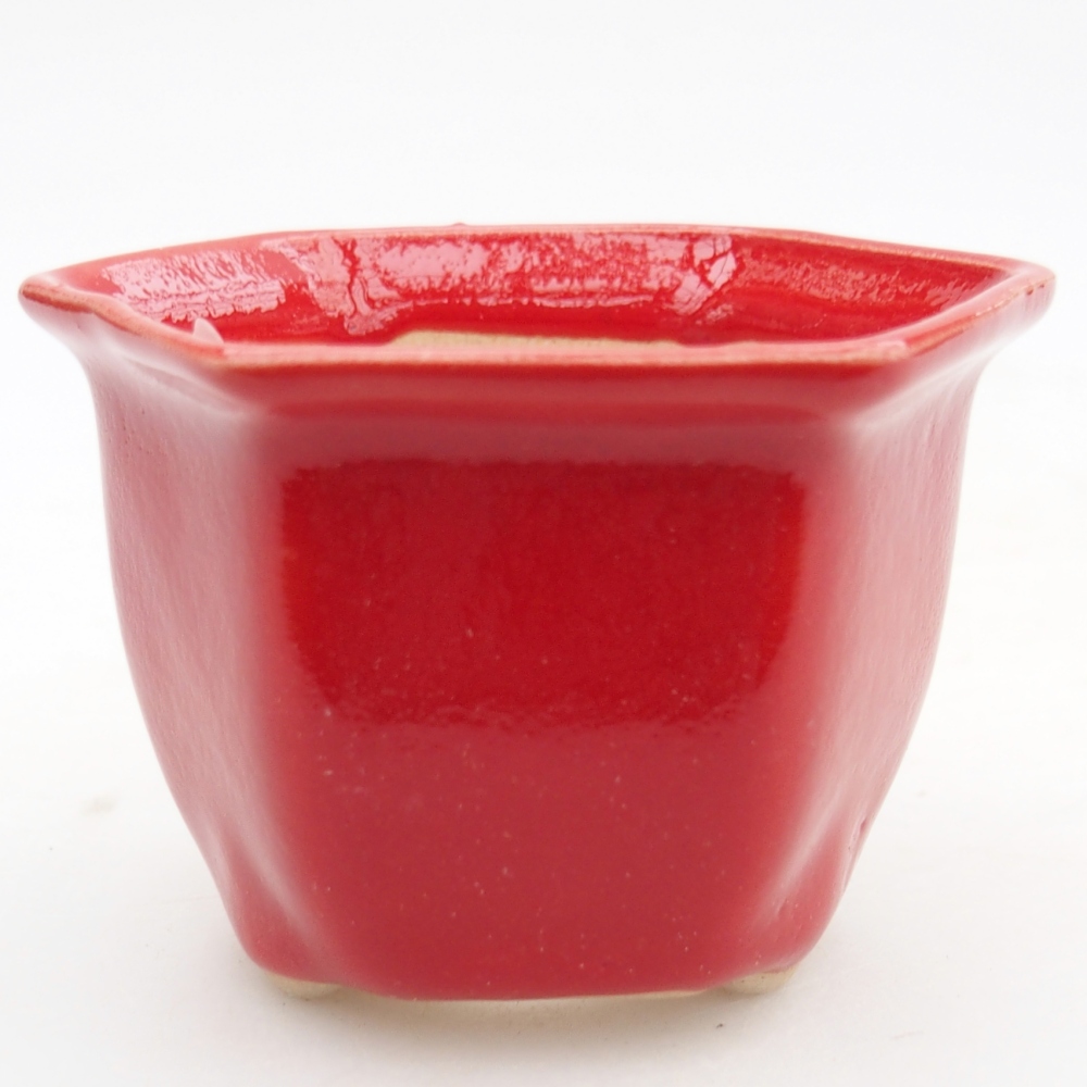 Mini bonsaischaal 7 x 6,5 x 5 cm, kleur rood