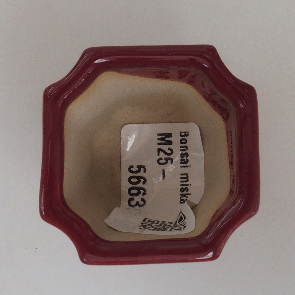 Mini bonsaischaal 4 x 4 x 3,5 cm, bordeauxrood