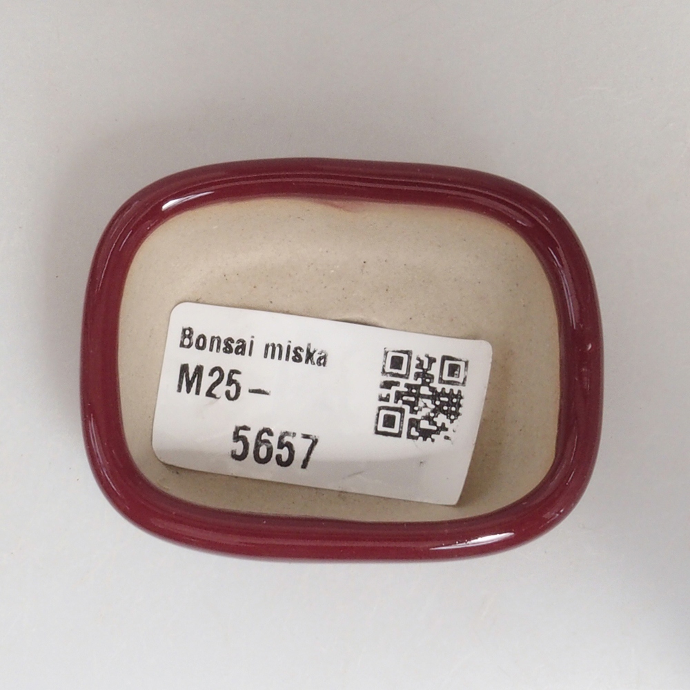 Mini bonsaischaal 5,5 x 4,5 x 2 cm, bordeauxrood