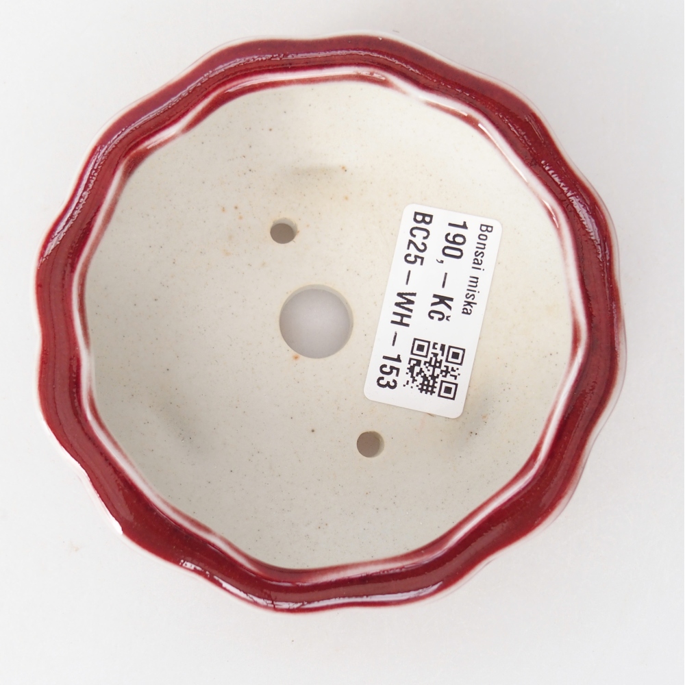 Bonsaischaal van keramiek 10 x 10 x 4 cm, kleur rood