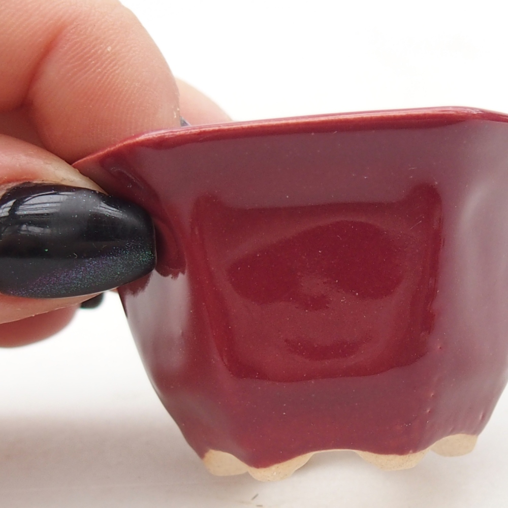 Mini bonsaischaal 5,5 x 5 x 3 cm, bordeauxrood