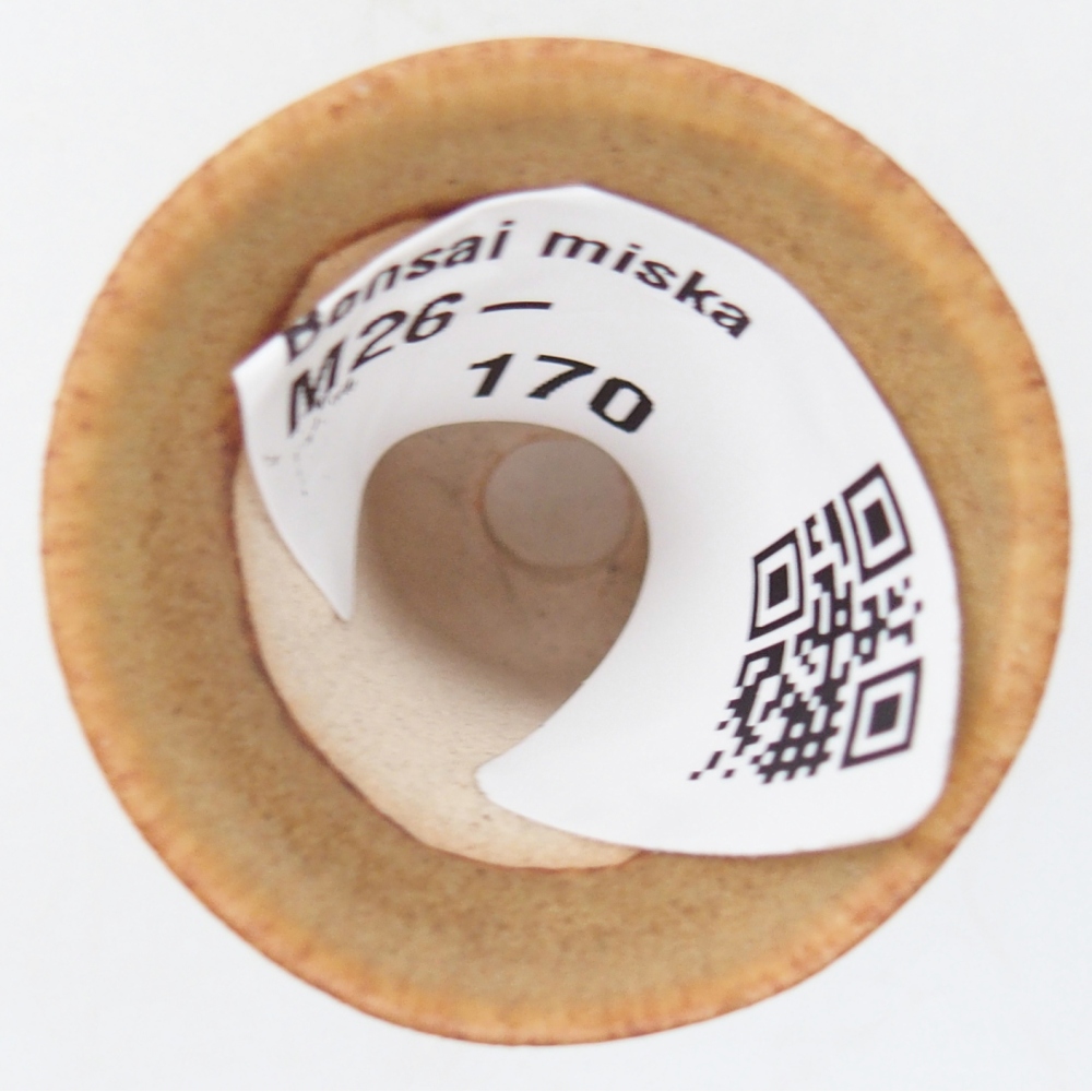 Mini bonsaischaal 3 x 3 x 3,5 cm, bruin