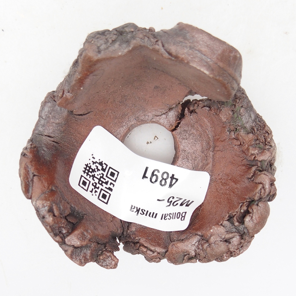 Keramische schelp 6 x 6 x 4 cm , kleur bruin