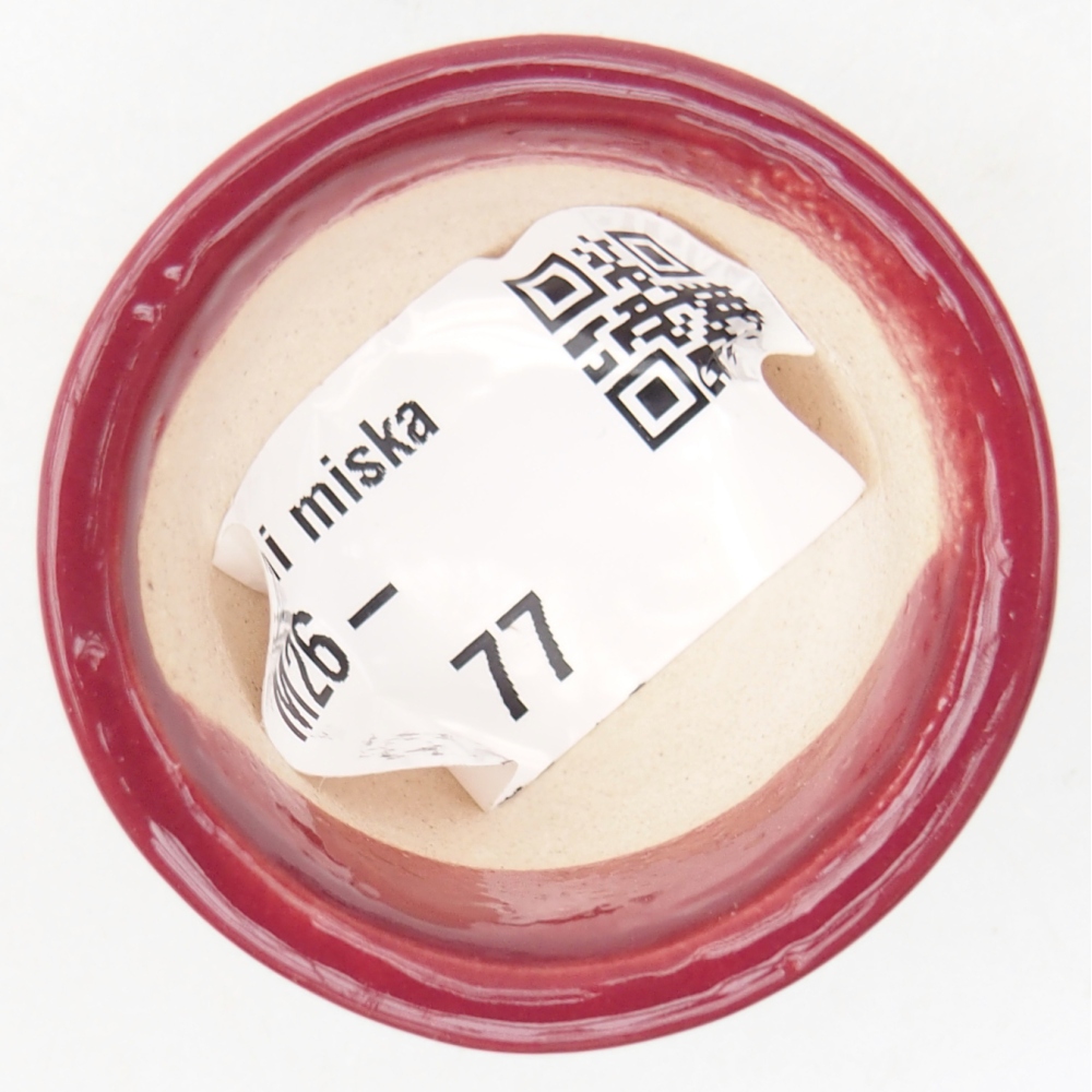 Mini bonsaischaal 4 x 4 x 2 cm, bordeauxrood