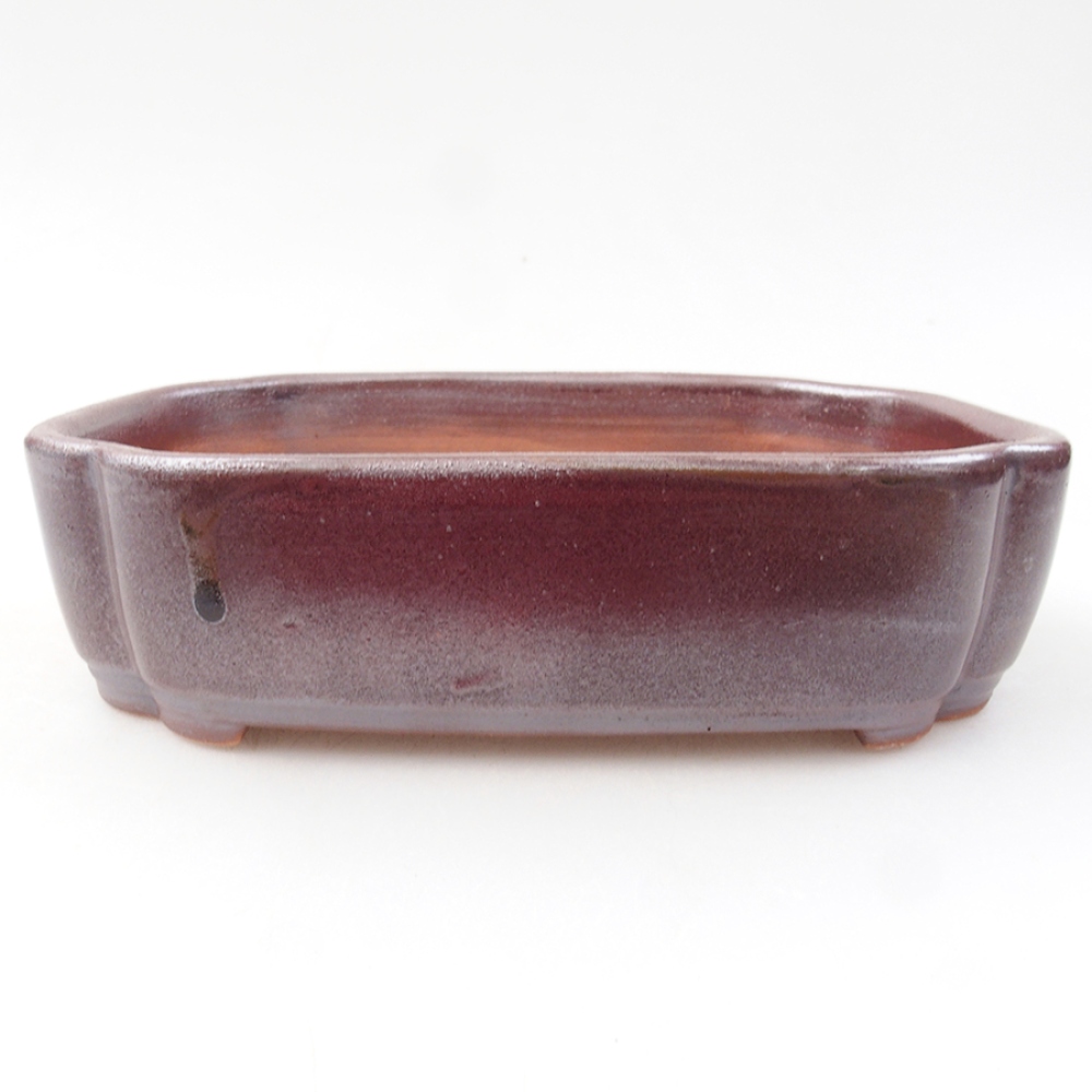Bonsaischaal van keramiek 15 x 11,5 x 4,5 cm, bruin