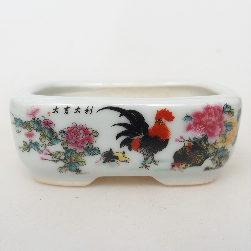 Mini bonsaischaal 8 x 6 x 3 cm, wit