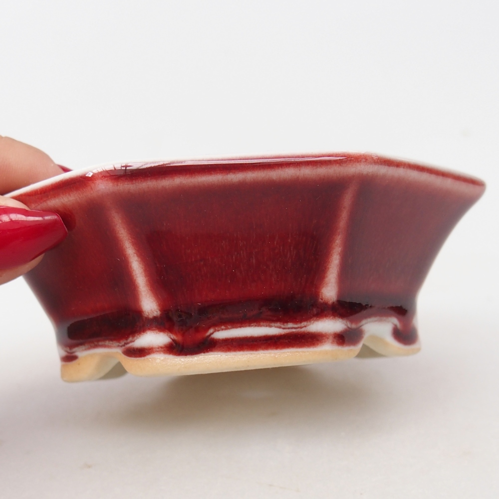 Mini bonsaischaal 11 x 10 x 3,5 cm, kleur rood