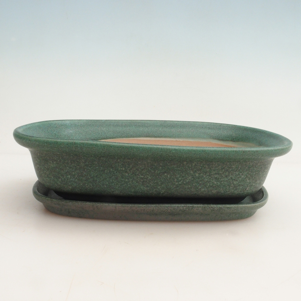 Bonsaischaal + schotel H25 - 23 x 17 x 5,5 cm.