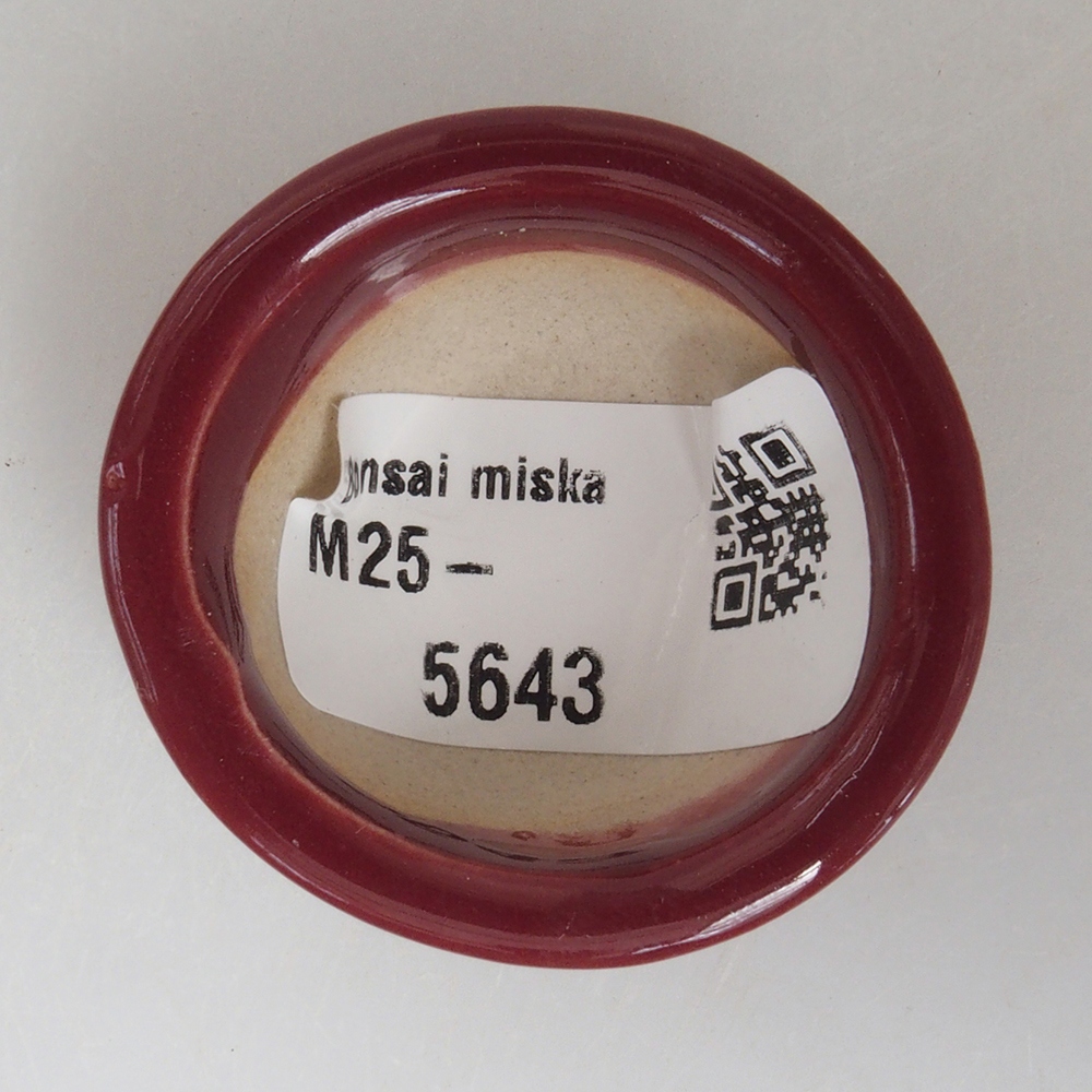 Mini bonsaischaal 4 x 4 x 2 cm, bordeauxrood