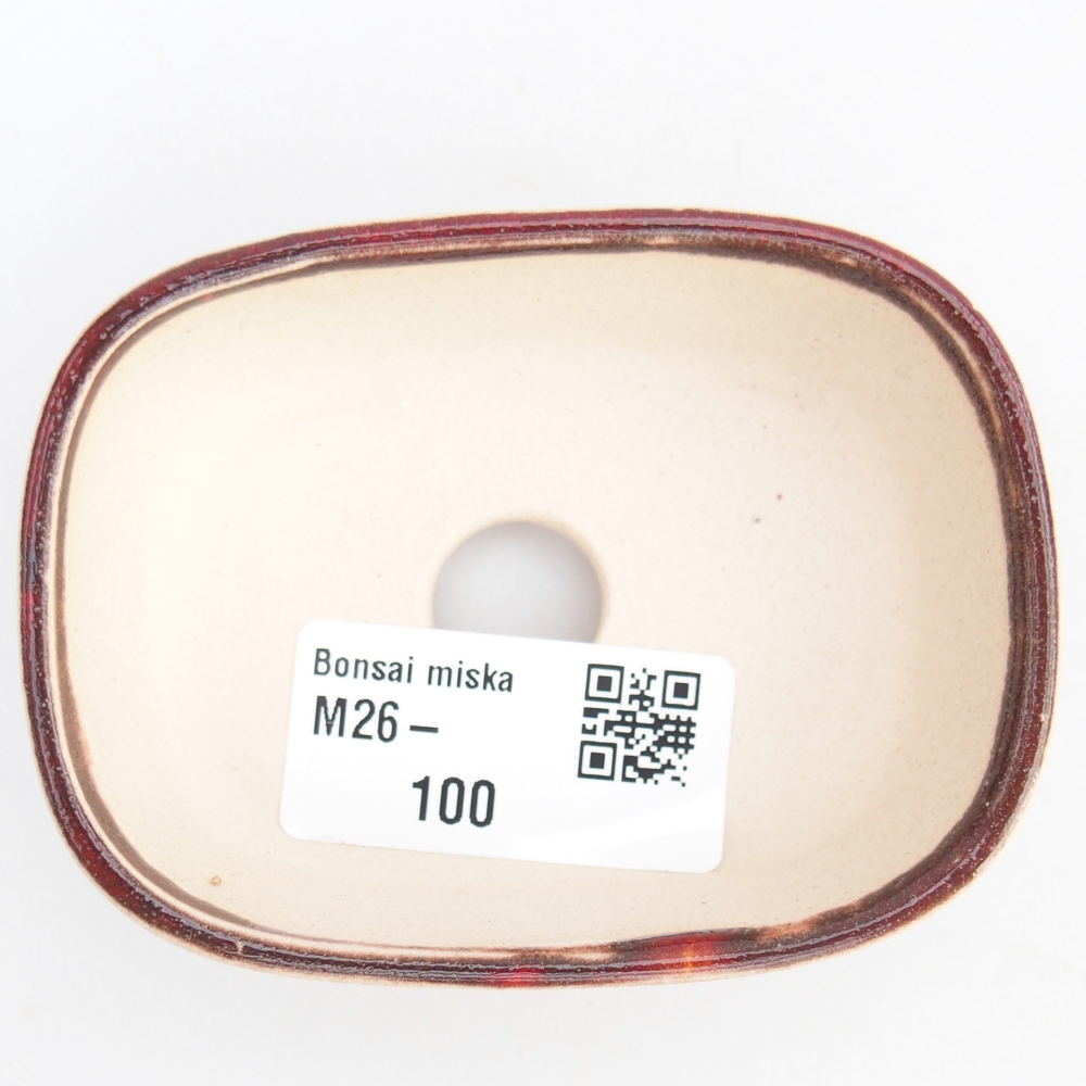 Mini bonsaischaal 6 x 6 x 2,5 cm, kleur rood