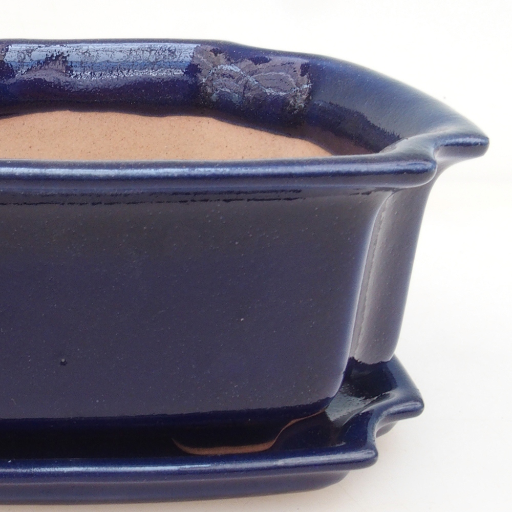 Bonsai kom + schotel H01 - blauw