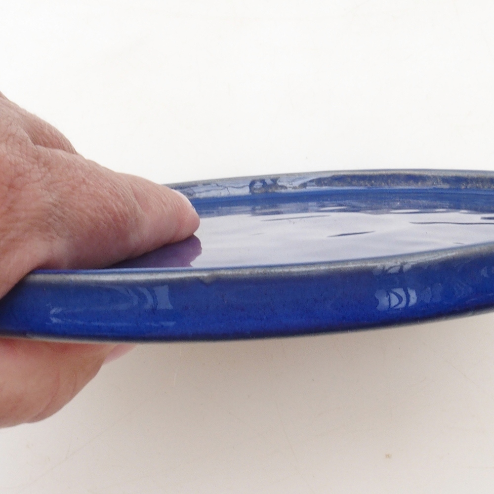 Ronde Bonsai Container D7-S - 16 x 16 x 1 cm - blauw