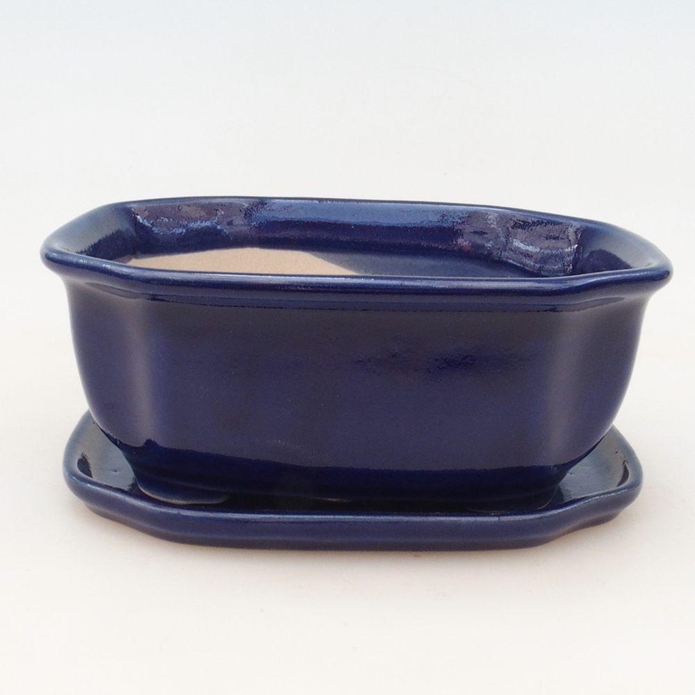 Bonsai kom + schotel H32 - blauw