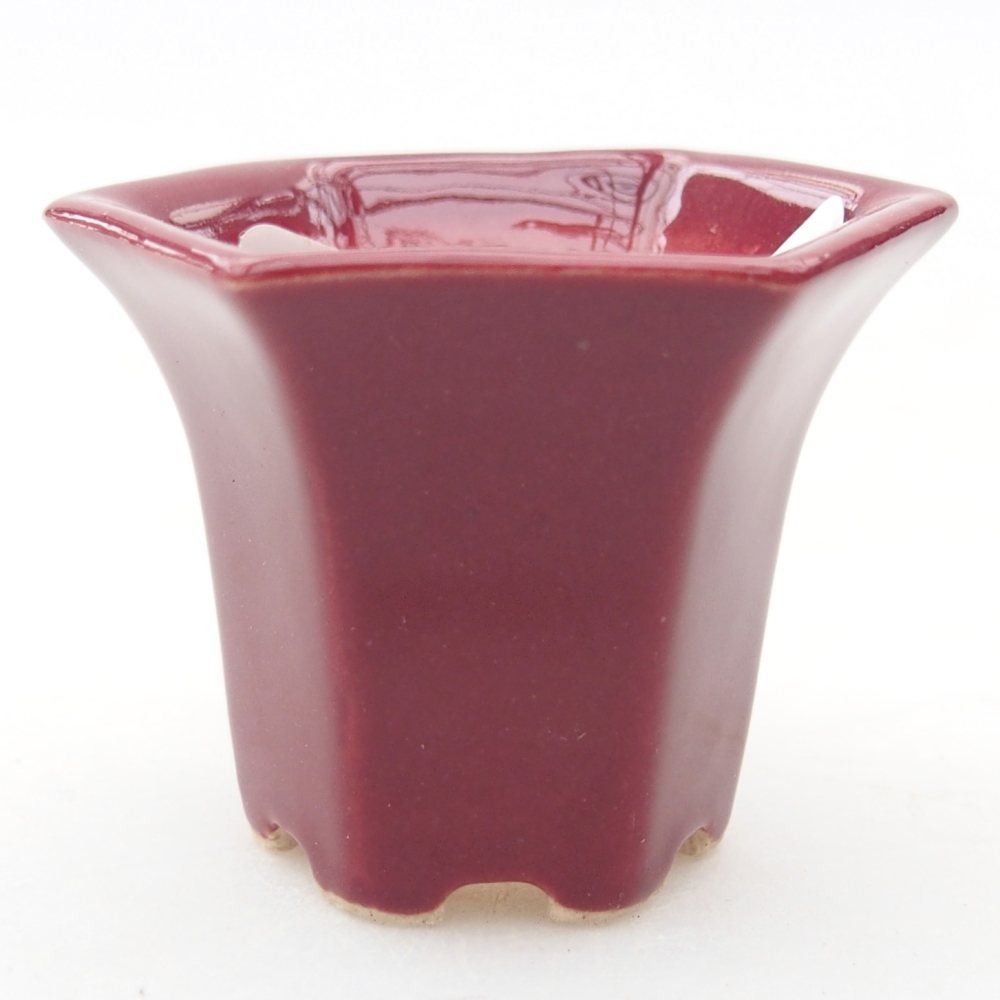 Mini bonsaischaal 4 x 4 x 3,5 cm, bordeauxrood