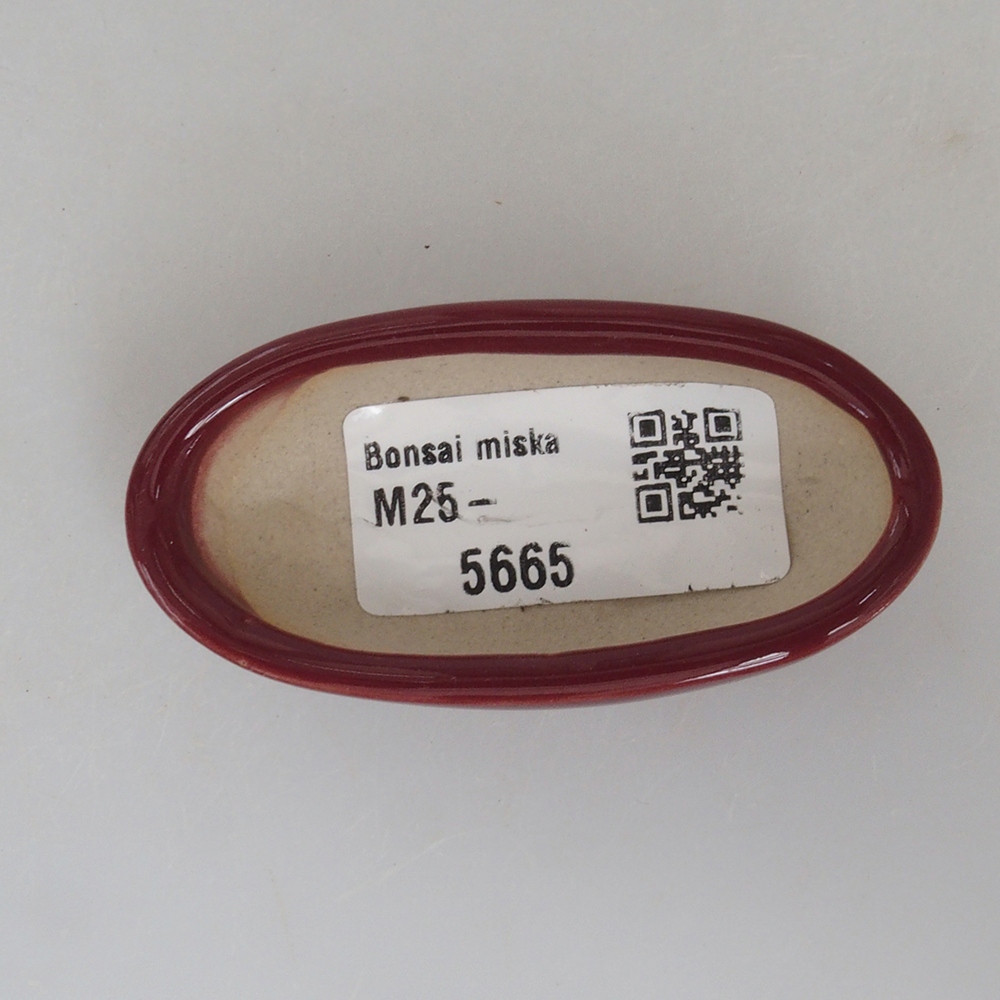 Mini bonsaischaal 7 x 3 x 2 cm, bordeauxrood